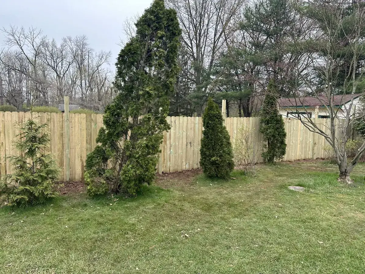 Backyard after fence replacement, showing a new wood privacy fence along the property line.